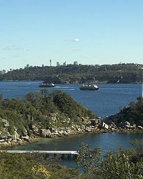 Quarantine. Manly