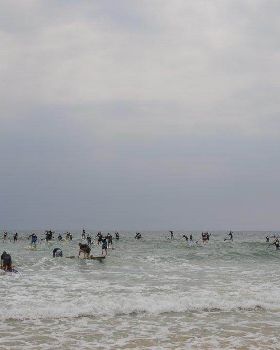 Stand Up Paddle
