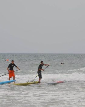 Stand Up Paddle