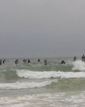 Stand Up Paddle