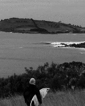 22 stu-gibson-tassie