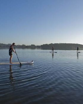 JPP paddle