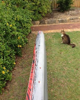 Stand Up Paddle