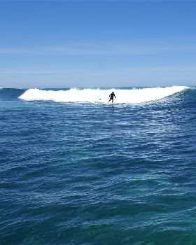 Seal island
