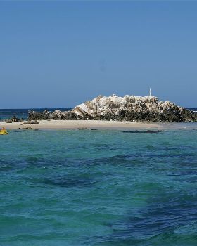 Seal island