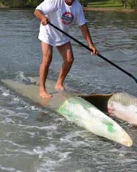 Stand Up Paddle