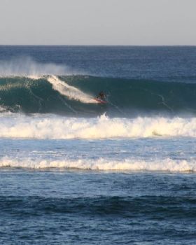 Heaving 6 TO 8 FOOT Langy