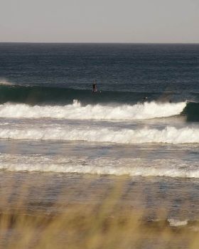 Heaving 6 TO 8 FOOT Langy