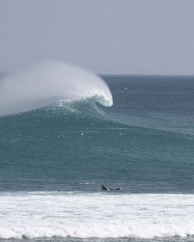 Heaving 6 TO 8 FOOT Langa