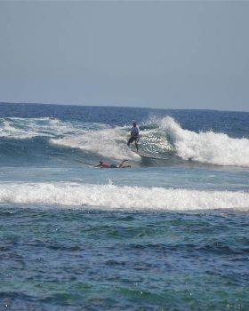 Stand Up Paddle