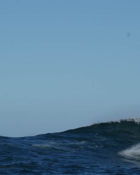 DSC07655