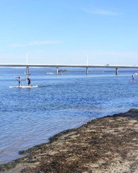 Stand Up Paddle