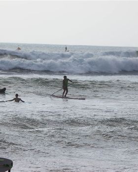 Stand Up Paddle