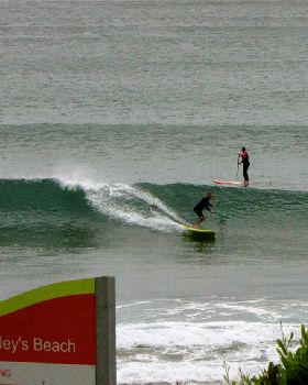 Stand Up Paddle