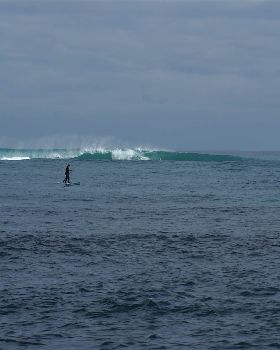 little island in june