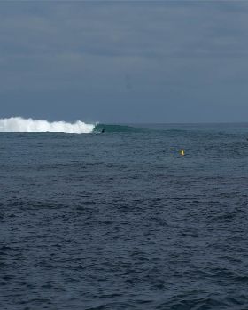little island in june
