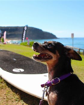 Stand Up Paddle