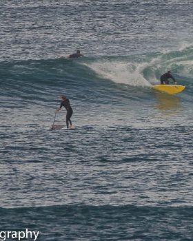Bombie (1 of 1)-26