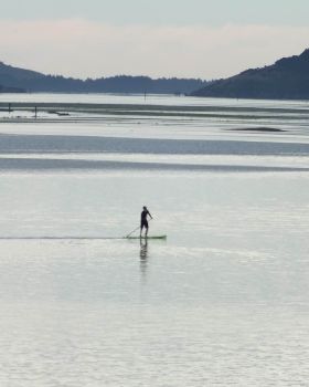 ANZAC day paddler