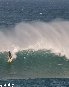 Bombie (1 of 1)-16