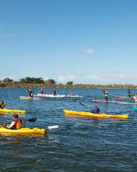 Gippsland Lakes Marathon