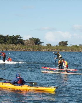 Stand Up Paddle