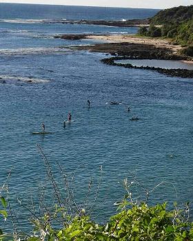 sth oz trip 2 cabbage tree bay demo 2