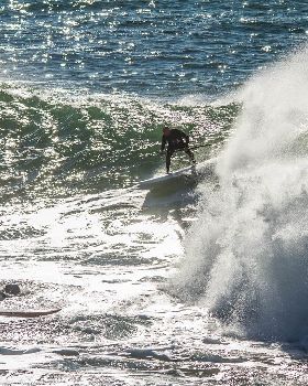 Scotts comp-107