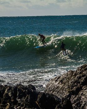 Scotts comp-194