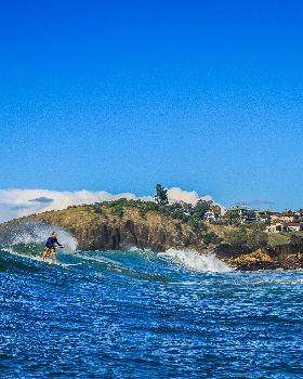 Scotts comp-257
