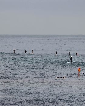Stand Up Paddle
