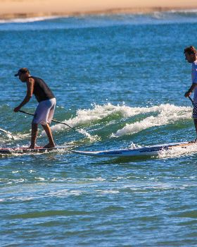 BOP paddle-242