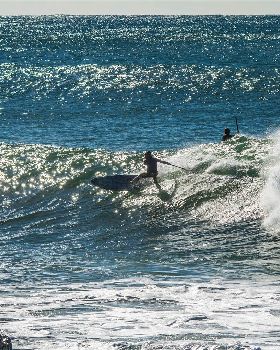 Scotts comp-202