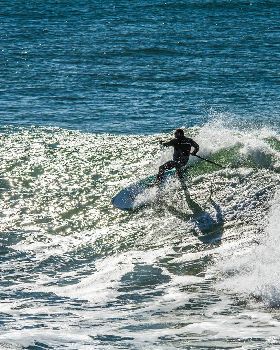 Scotts comp-206