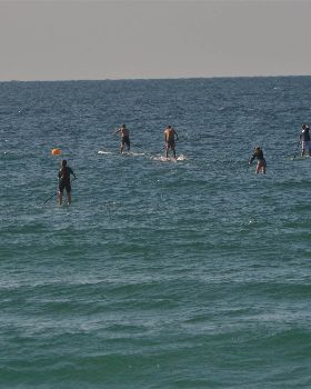 Stand Up Paddle