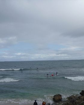 Whalebone Classic BOP race