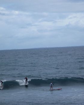 Whalebone Classic BOP race