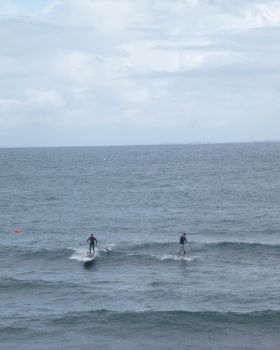 Whalebone Classic BOP race