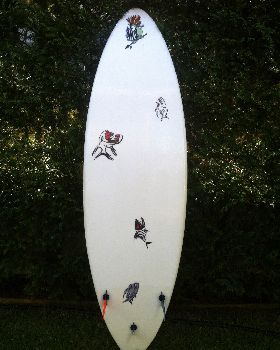 Stand Up Paddle