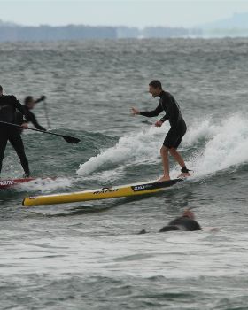Stand Up Paddle