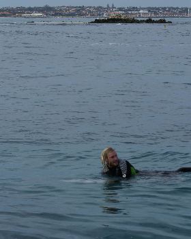 seal island