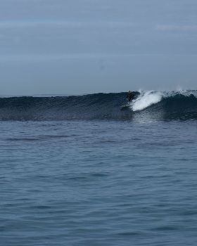 seal island