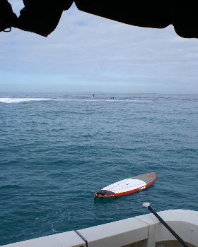 seal island