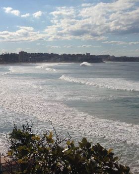 Manly 4