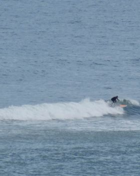 DSC08828