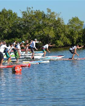 Stand Up Paddle