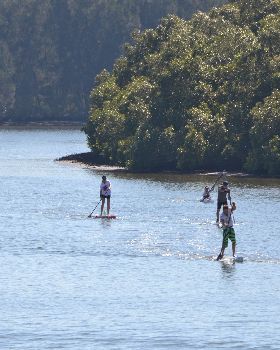 Stand Up Paddle