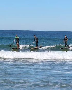 N1SCO Palm Beach 2013