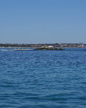 seal island