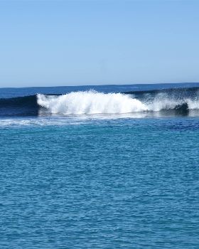 seal island